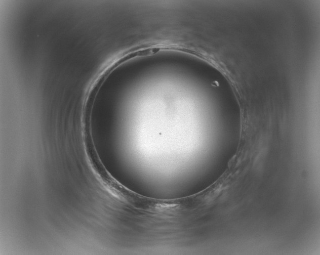 X0000053110055200507251707