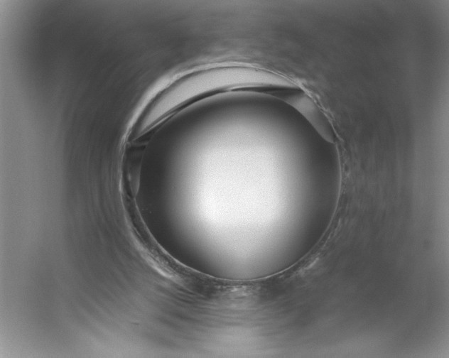 X0000053110056200507251708