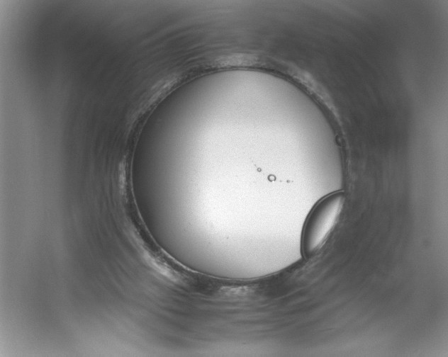 X0000053110057200507251708