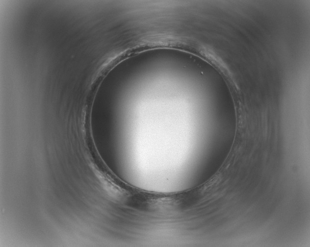 X0000053110058200507251708