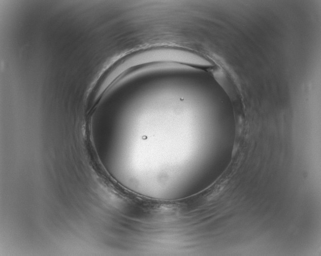 X0000053110060200507251708