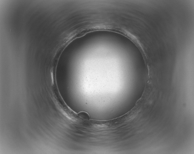 X0000053110061200507251708