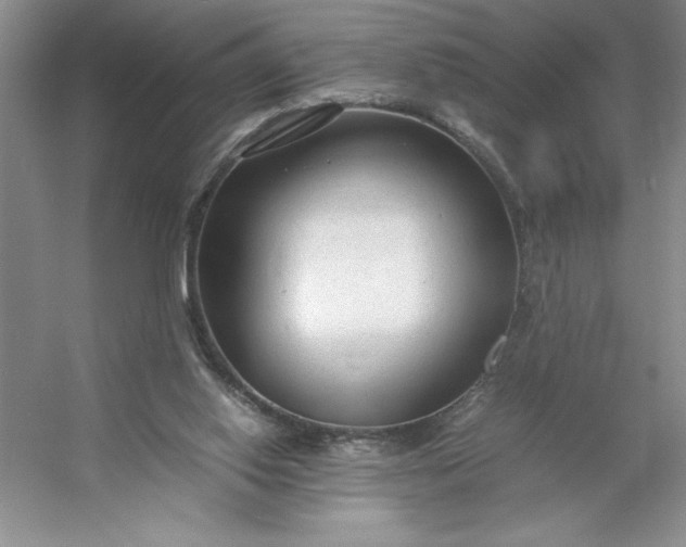 X0000053110062200507251708