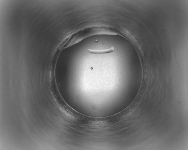 X0000053110063200507251708