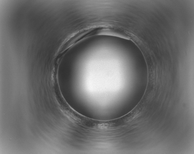 X0000053110064200507251708