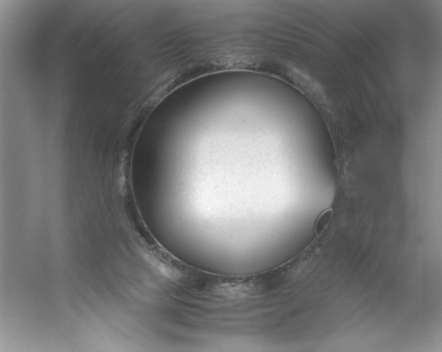 X0000053110065200507251708