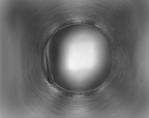 X0000053110066200507251708