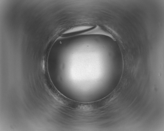 X0000053110067200507251708