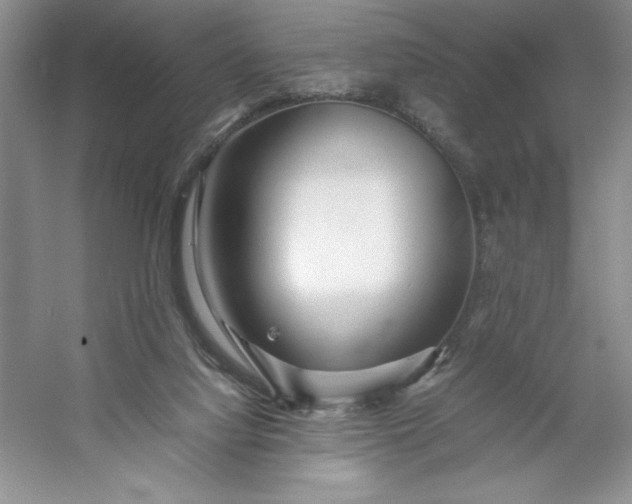 X0000053110068200507251708