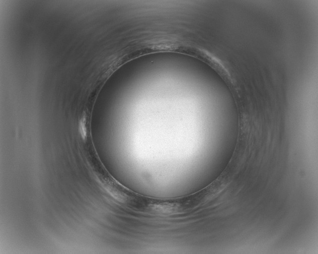 X0000053110069200507251708