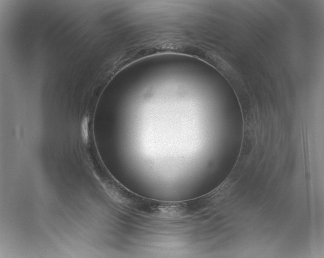 X0000053110070200507251708