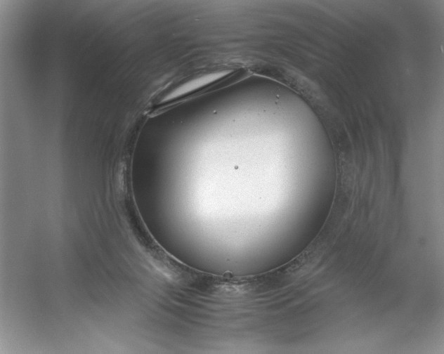 X0000053110071200507251708