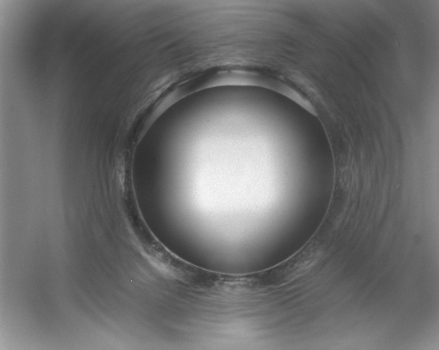 X0000053110072200507251708