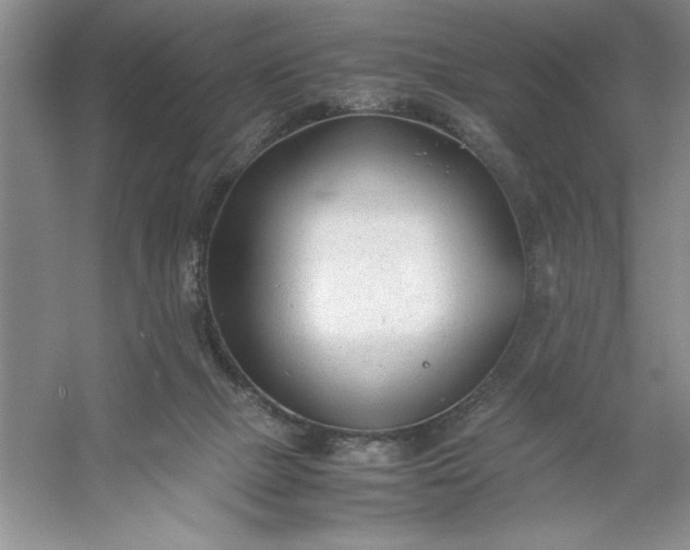 X0000053110073200507251708