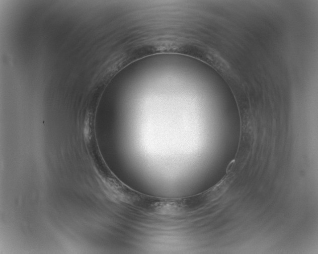 X0000053110074200507251708