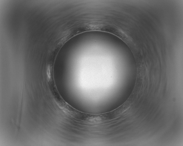 X0000053110075200507251708