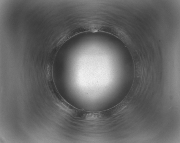 X0000053110077200507251708