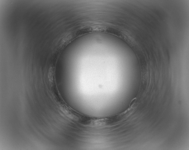 X0000053110078200507251708