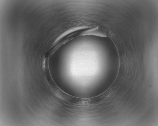 X0000053110080200507251708