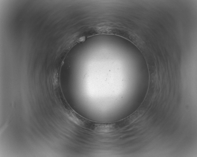 X0000053110081200507251708