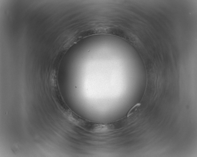 X0000053110083200507251708