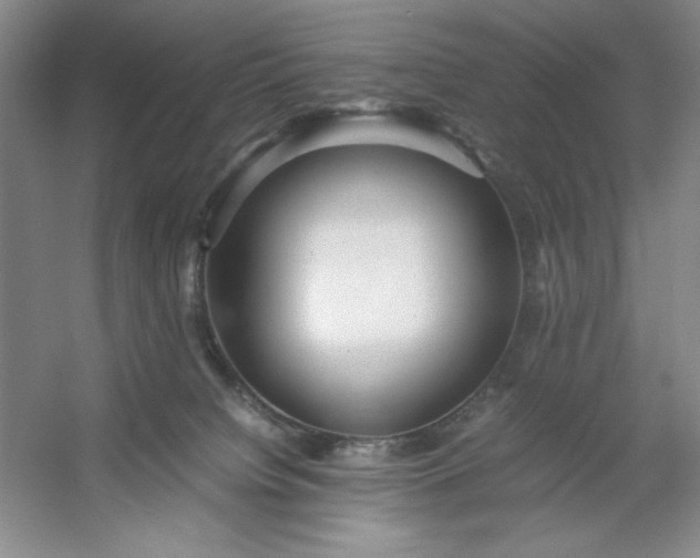 X0000053110084200507251708