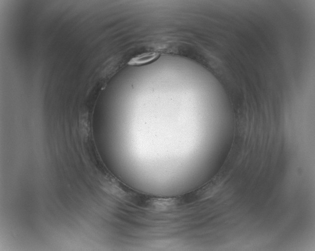 X0000053110085200507251708