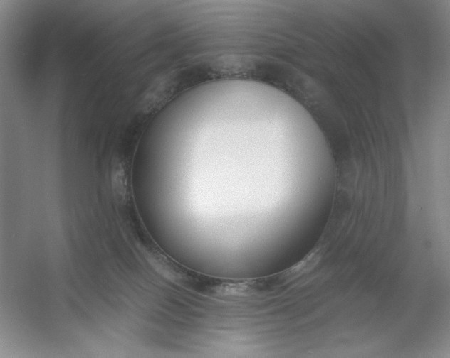 X0000053110086200507251708