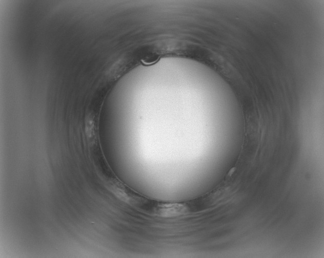 X0000053110087200507251708