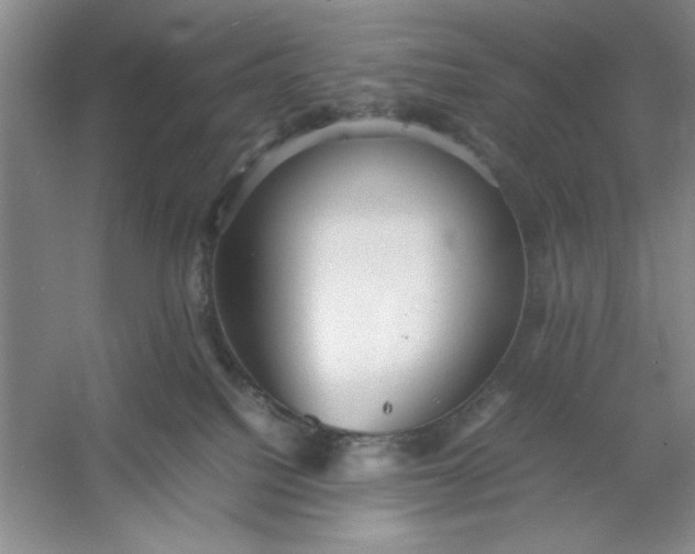 X0000053110088200507251708