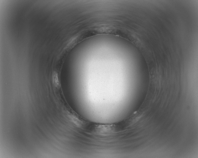 X0000053110089200507251708