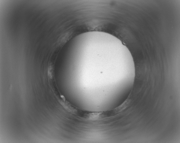 X0000053110090200507251708