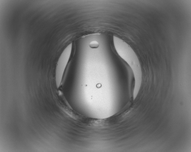 X0000053110092200507251708