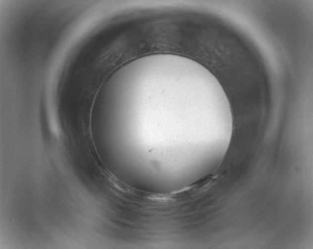 X0000053110093200507251708