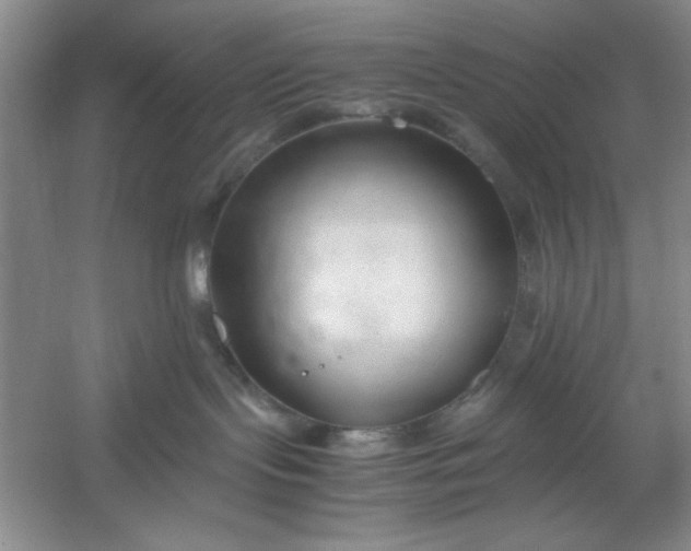 X0000053110095200507251708