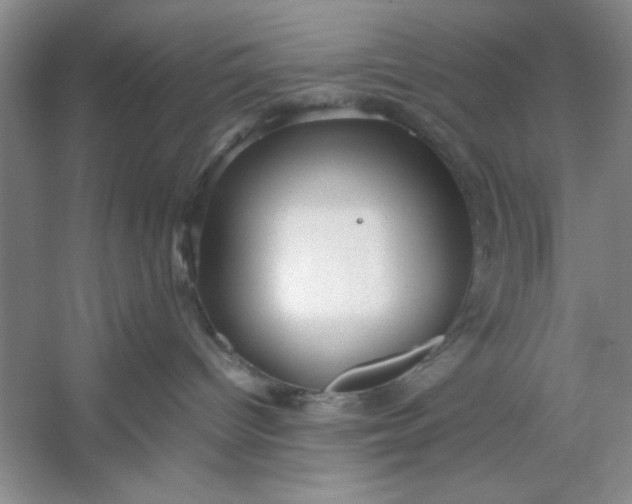 X0000053110096200507251708