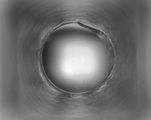 X0000053110097200507251707