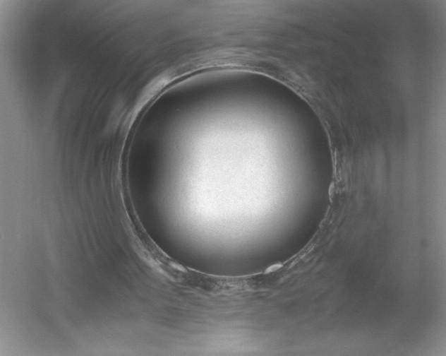 X0000053110099200507251707