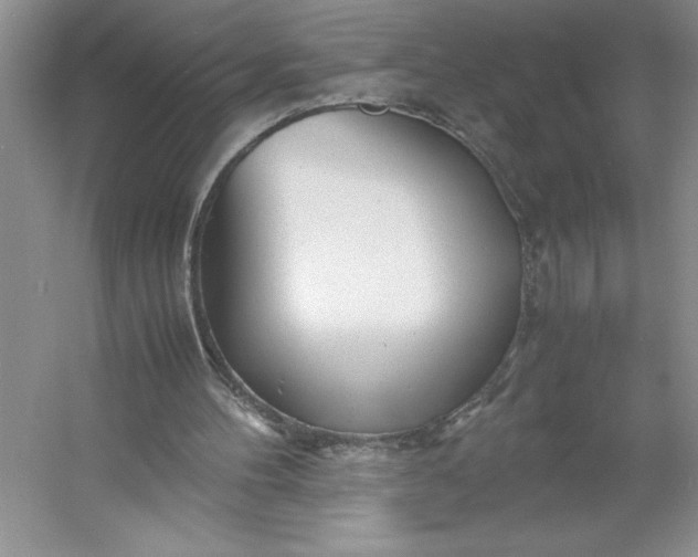 X0000053110100200507251707