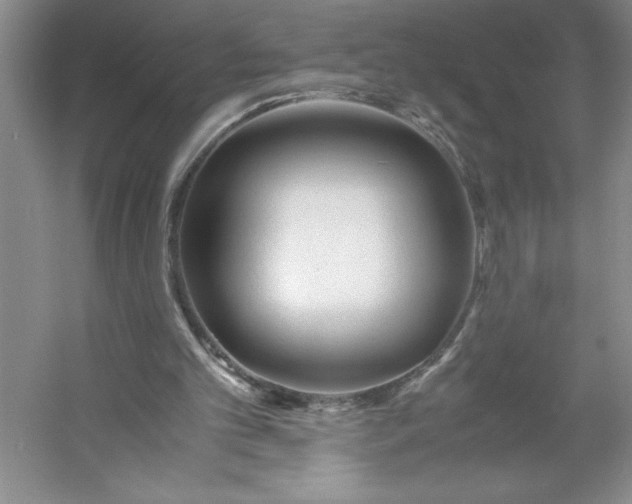 X0000053110101200507251707