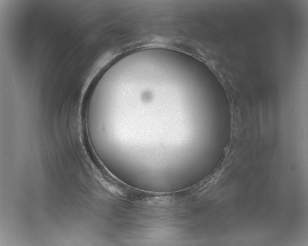 X0000053110102200507251707