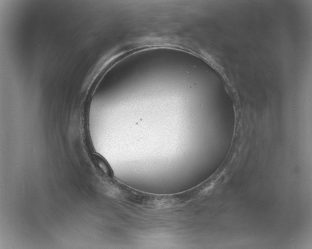 X0000053110103200507251707