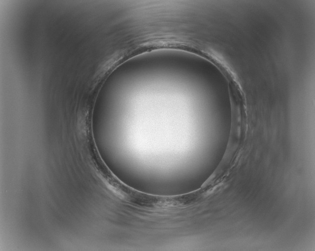 X0000053110105200507251707