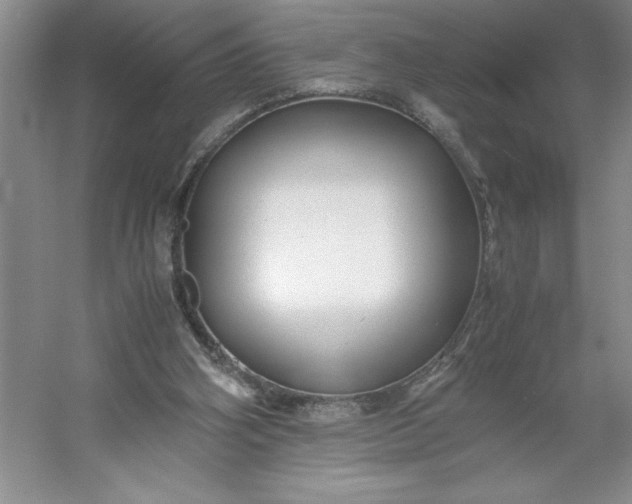 X0000053110106200507251707