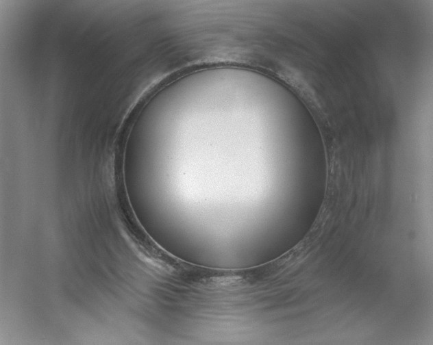 X0000053110108200507251707