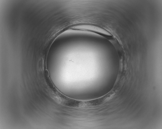 X0000053110109200507251707