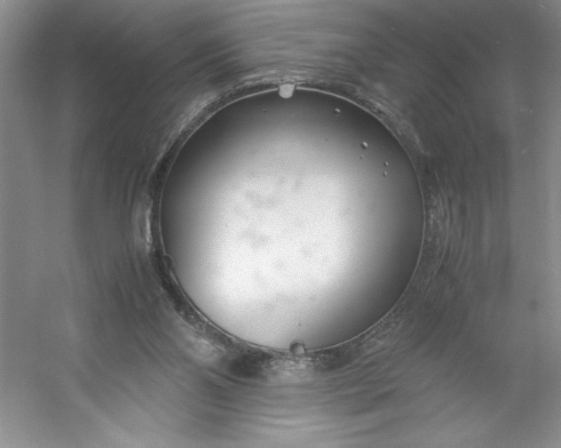 X0000053110110200507251707