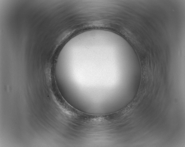 X0000053110112200507251707