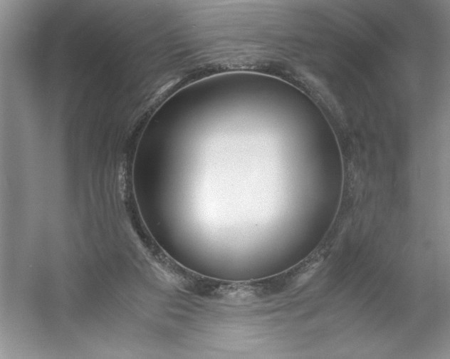 X0000053110113200507251707