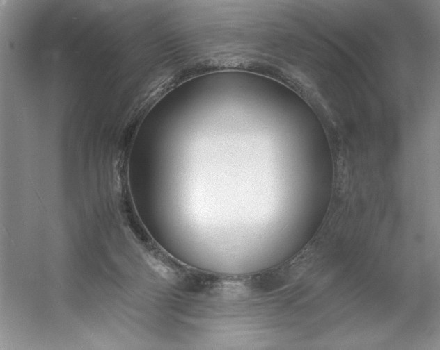 X0000053110114200507251707